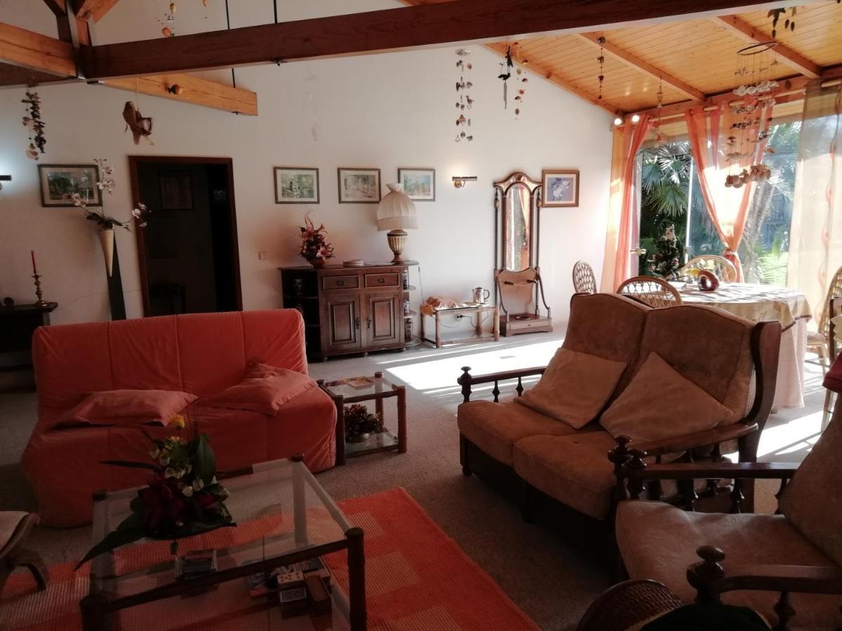 Вилла Casa Da Boavista Санта-Мария-да Фейра Экстерьер фото